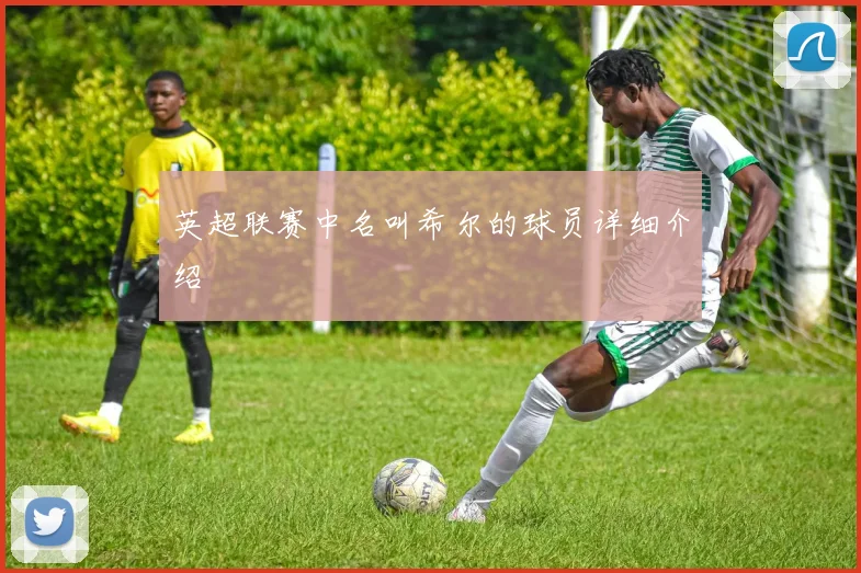 英超联赛中名叫希尔的球员详细介绍