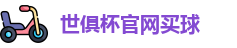 2025世界俱乐部杯